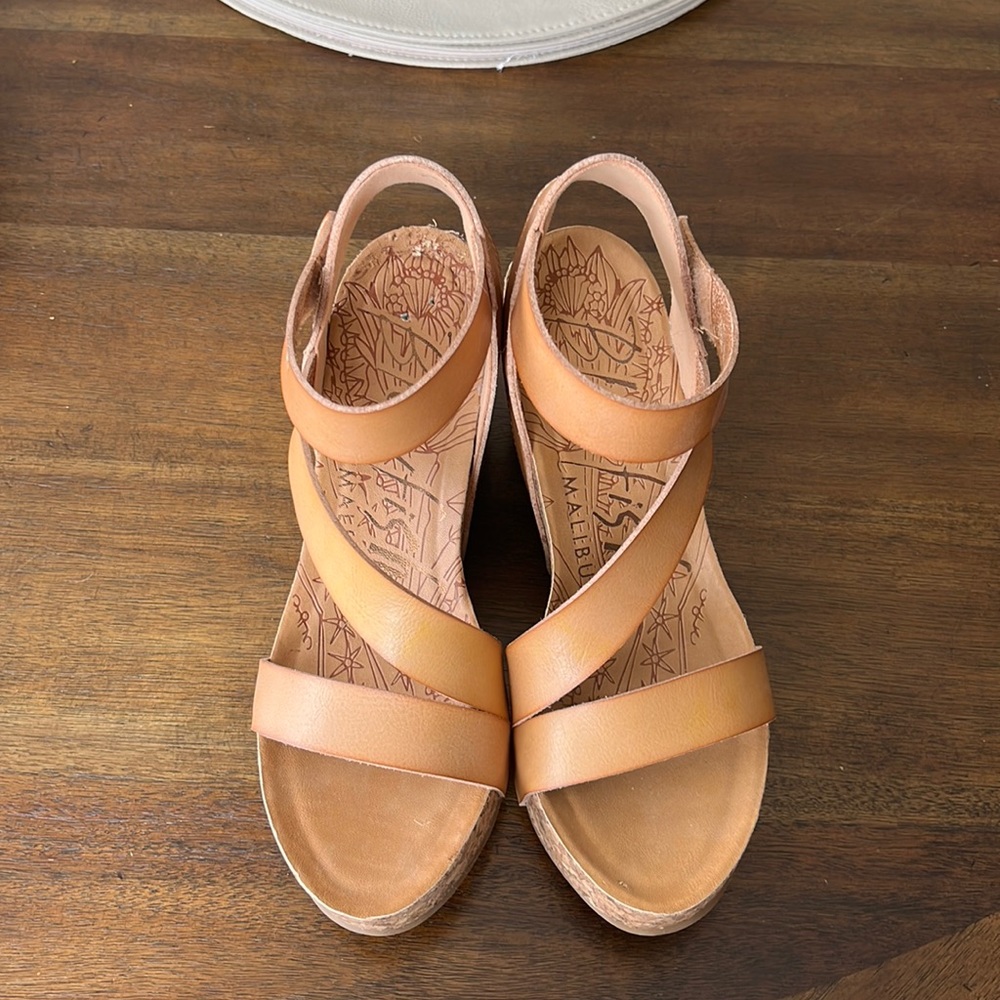 Blowfish Wedges